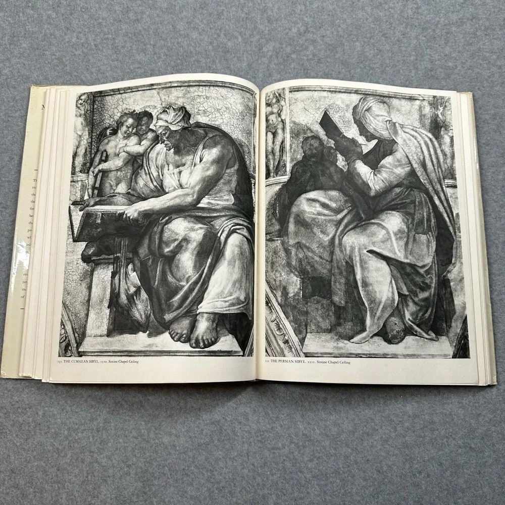 Michelangelo Complete Edition Book Goldscheider Phaidon Vintage Art HC DJ‎